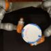 AI helps robots manipulate objects with their whole bodies