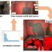 Optimizing gesture recognition system design