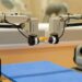 New dual-arm robot achieves bimanual tasks by learning from simulation