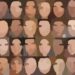 New AI model can alter apparent ages of facial images while retaining identifying features