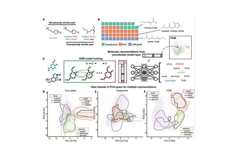 A step closer to digitizing the sense of smell: Model describes odors better than human panelists