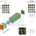 Diffractive optical network enables multispectral quantitative phase imaging in a snapshot