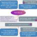 An interactive platform that explains machine learning models to its users