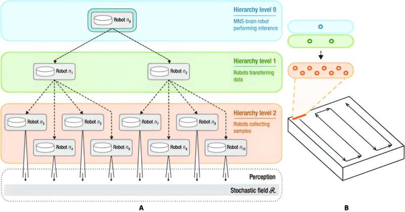 How do robots collaborate to achieve consensus?