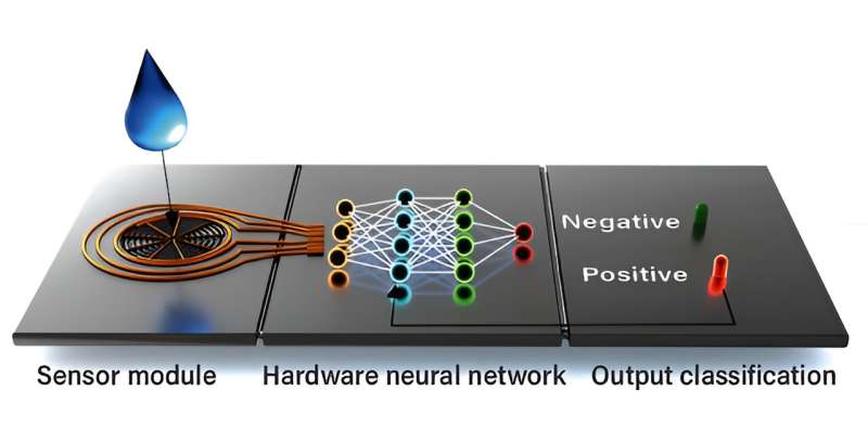 A breakthrough way to train neuromorphic chips