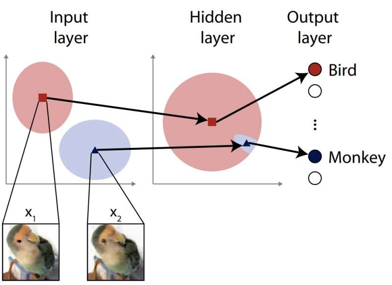 Using the brain as a model inspires a more robust AI