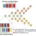 Real-time inspection of defects on fuel cell surface by artificial intelligence