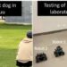 New algorithms for intelligent and efficient robot navigation among the crowd