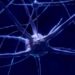 What happens if neurotechnology learns to read our minds?