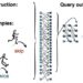 Can AI grasp related concepts after learning only one?