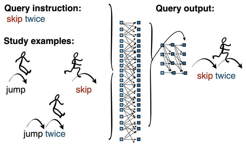 Can AI grasp related concepts after learning only one?