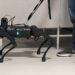 Computer scientists program robotic seeing-eye dog to guide the visually impaired