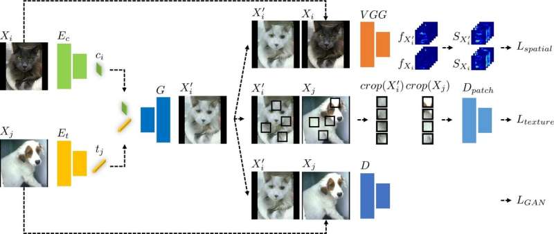 Research team develops an AI model for effectively removing biases in a dataset