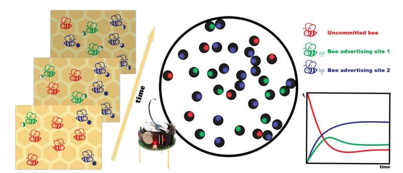Honeybee behavior as a model for decision-making in a kilobot swarm