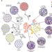 A machine learning–based tool to model phase-change memory materials