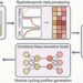 Deep learning-based system paves the way for efficient battery health assessment