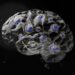 Twisted magnets make brain-inspired computing more adaptable
