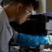 Researchers train AI to produce solar cells from perovskite in record time