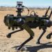 AI is already being melded with robotics—one outcome could be powerful new weapons