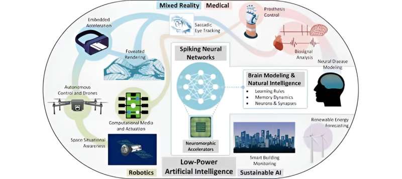 Paper offers perspective on future of brain-inspired AI as Python code library passes major milestone
