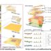 Researchers use 2D material to reshape 3D electronics for AI hardware