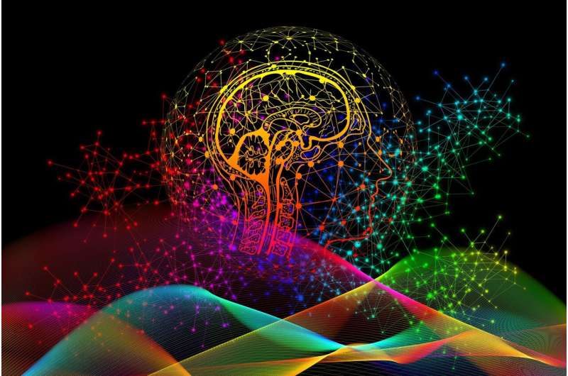 Could you move from your biological body to a computer? An expert explains
