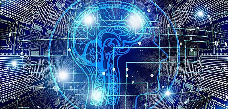 New insight into how brain adjusts synaptic connections during learning may inspire more robust AI