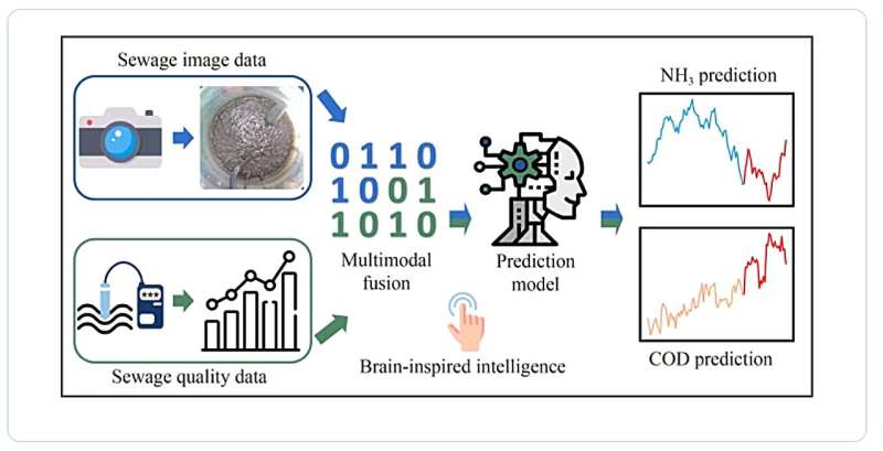 Brain-inspired model enhances wastewater treatment predictions