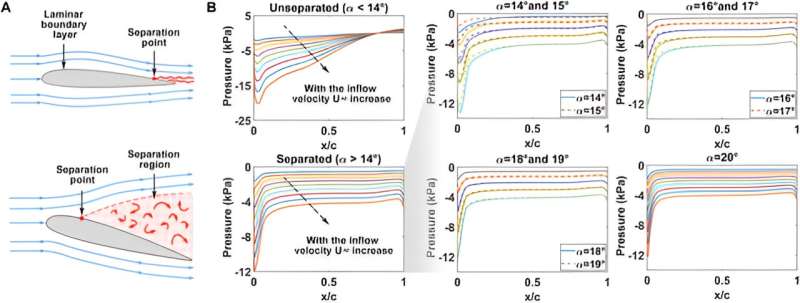 Investigating quantum computing and machine learning as effective tools in fluid dynamics