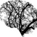 Reining in AI means figuring out which regulation options are feasible, both technically and economically