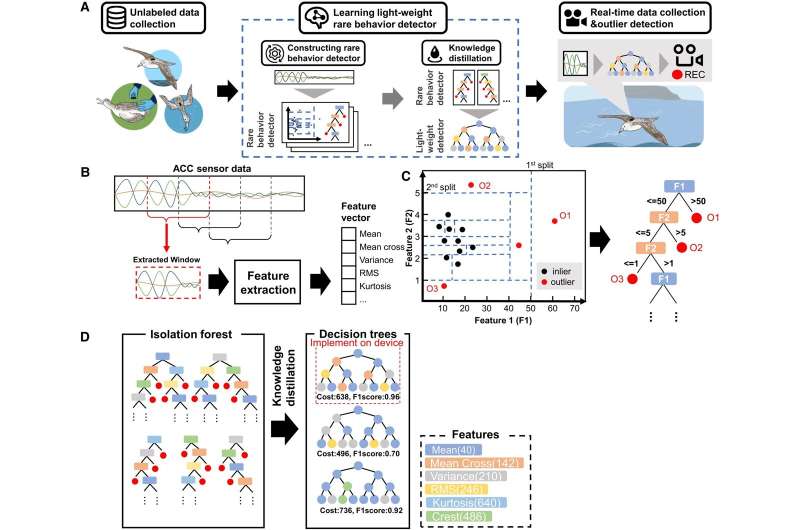 Tiny AI-based bio-loggers revealing the interesting bits of a bird
