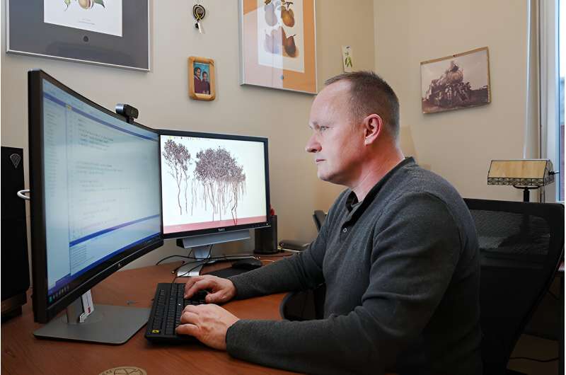 AI learns to simulate how trees grow and shape in response to their environments