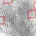 Fingerprinting with machine vision