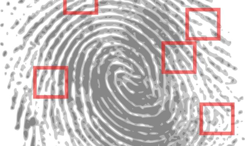 Fingerprinting with machine vision