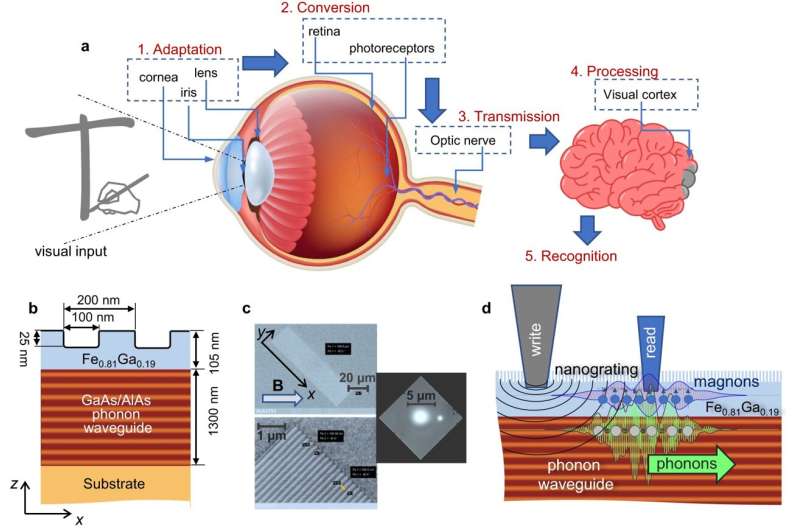 International research team develops new hardware for neuromorphic computing