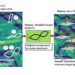 New system combines human, artificial intelligence to improve experimentation