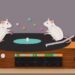 Artificial intelligence recognizes and learns to predict patterns in behavior from video