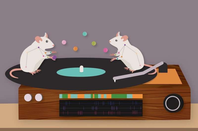Artificial intelligence recognizes and learns to predict patterns in behavior from video