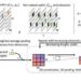 New AI model could streamline operations in a robotic warehouse
