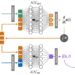 Learning the intrinsic dynamics of spatio-temporal processes through Latent Dynamics Networks