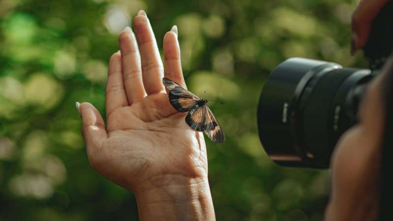 New research works to improve image classification and analysis