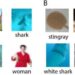 Towards a universal mechanism for successful deep learning