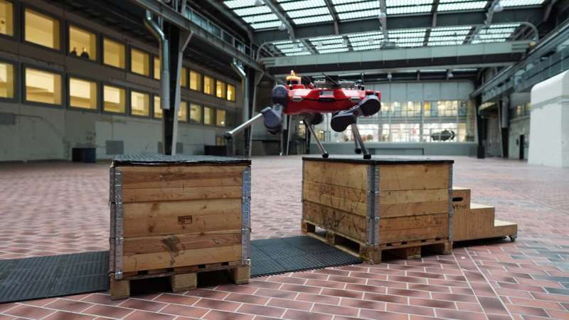 A quadrupedal robot can do parkour and walk across rubble