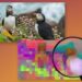 New algorithm unlocks high-resolution insights for computer vision