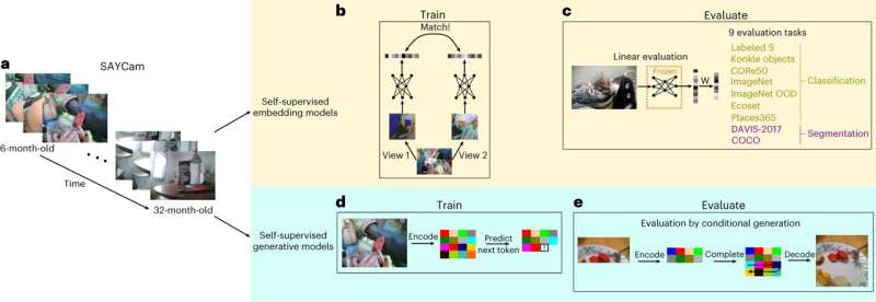 Training artificial neural networks to process images from a child