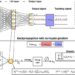 Brain-inspired chaotic spiking backpropagation