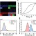 Next-generation AI semiconductor devices mimic the human brain