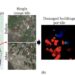 New computer vision tool can count damaged buildings in crisis zones and accurately estimate bird flock sizes