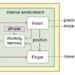 Team develops a way to teach a computer to type like a human