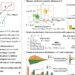 New mitigation framework reduces bias in classification outcomes